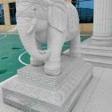 永州 白麻花岗岩动物异形石雕-大象