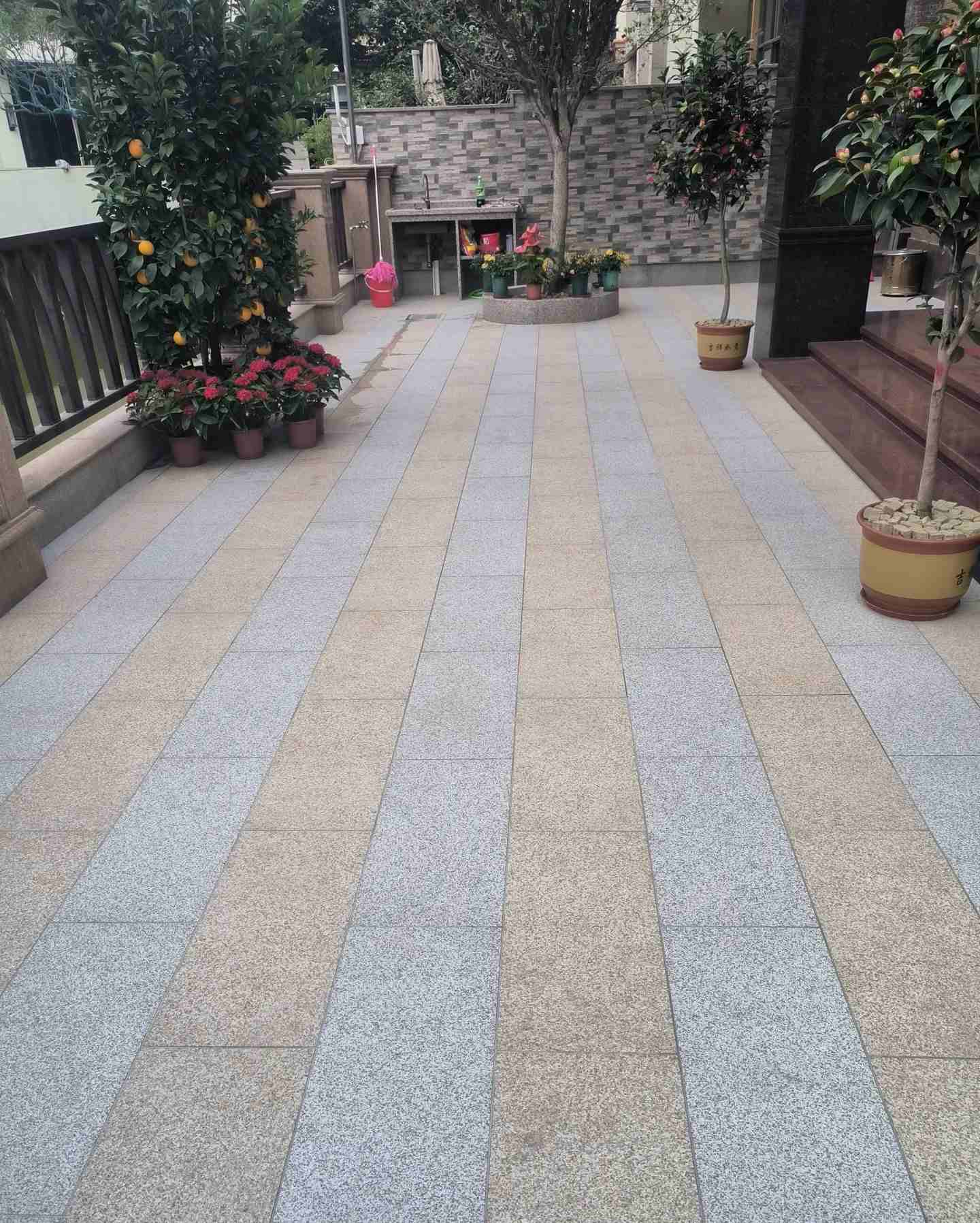 永州 黄金麻白麻荔枝面庭院铺装展示